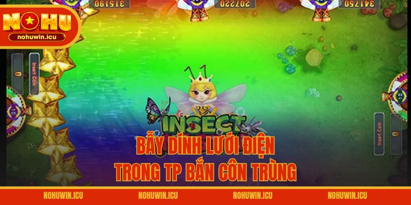 Bẫy dính lưới điện trong TP Bắn Côn Trùng