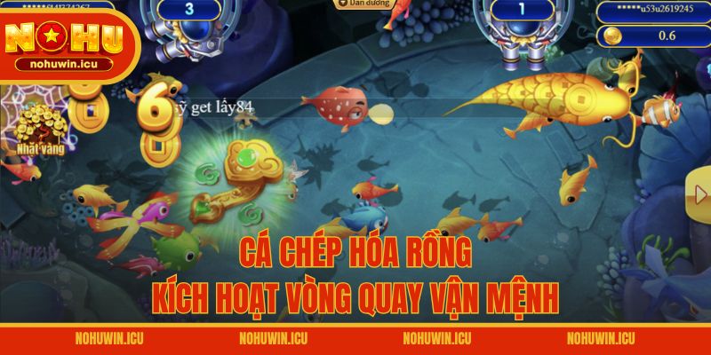 Cá Chép Hóa Rồng – Kích hoạt vòng quay vận mệnh